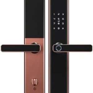 Serratura intelligente Tuya Zigbee